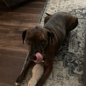 Meet your Posher, Alison